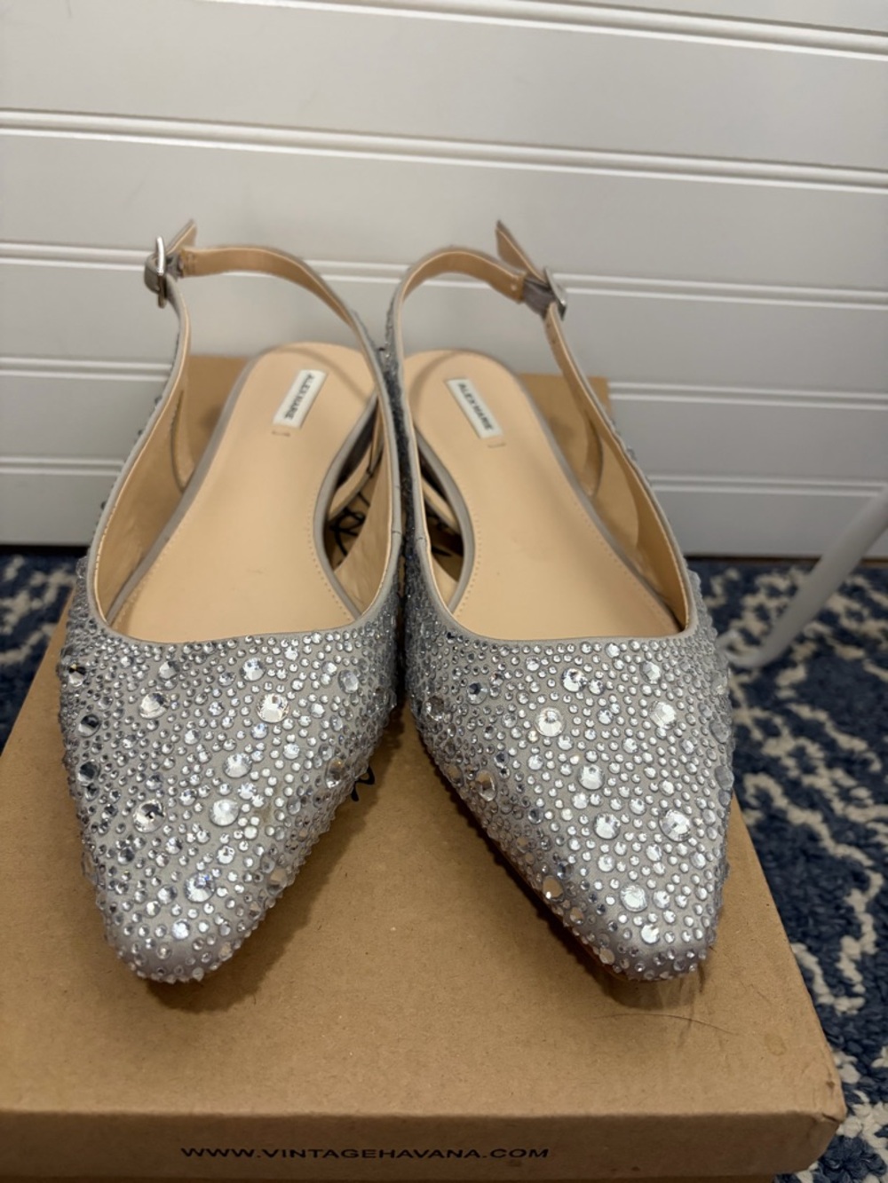 Alex Marie Silver Crystal-Embellished Pointed Slingback Flats